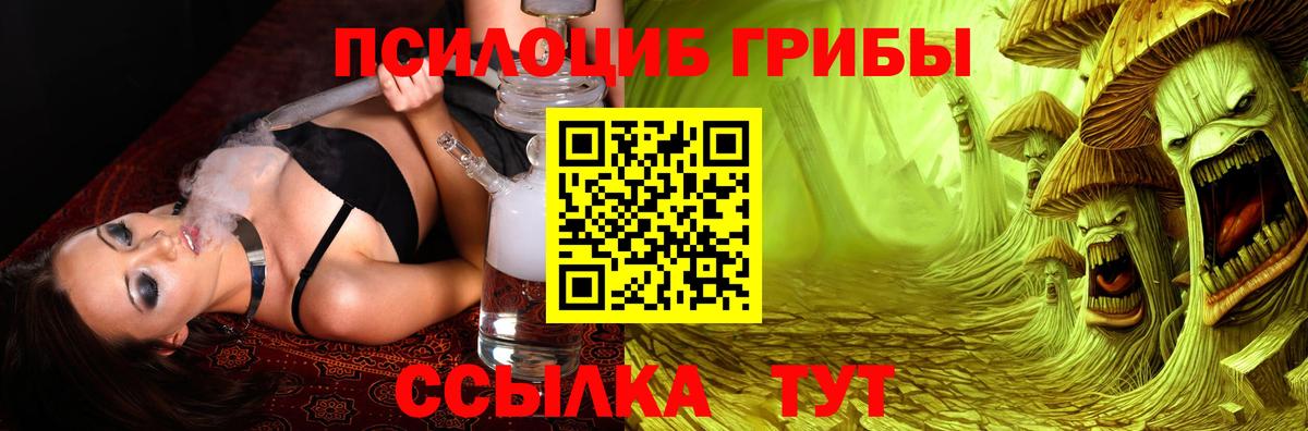 Галлюциногенные грибы Psilocybe Шатура