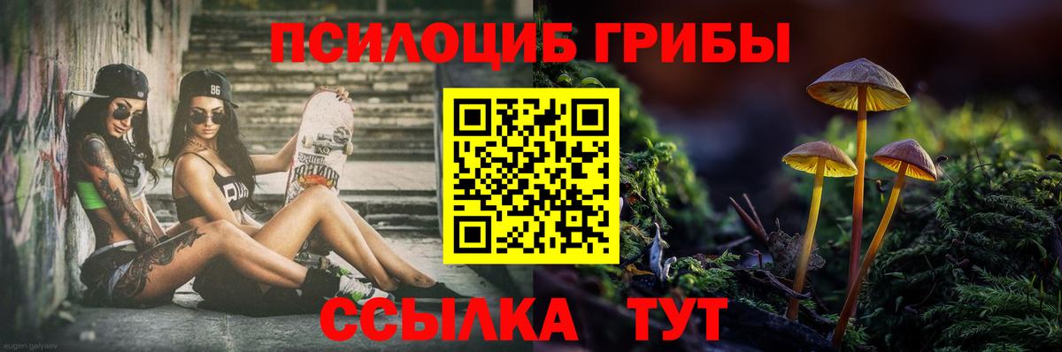 Псилоцибиновые грибы Psilocybine cubensis  Вход с VPN  Псилоцибиновые грибы Cubensis  Шатура 
